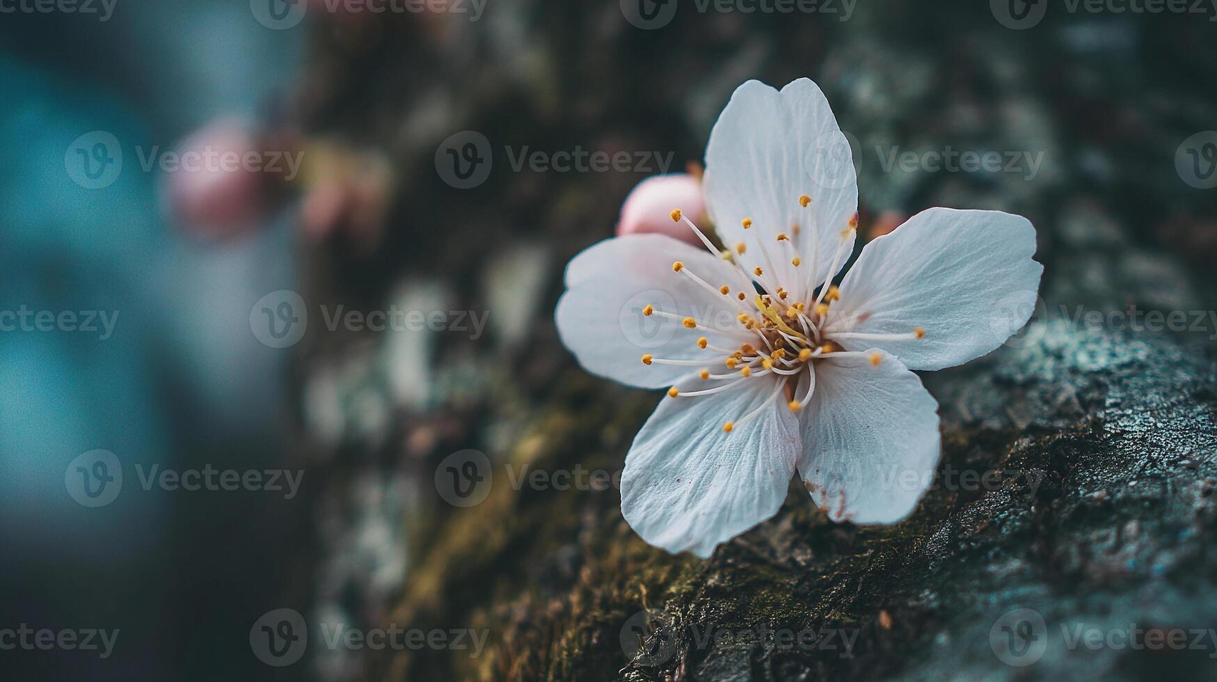 Natural flower on tree branch glowing in photo with bokeh