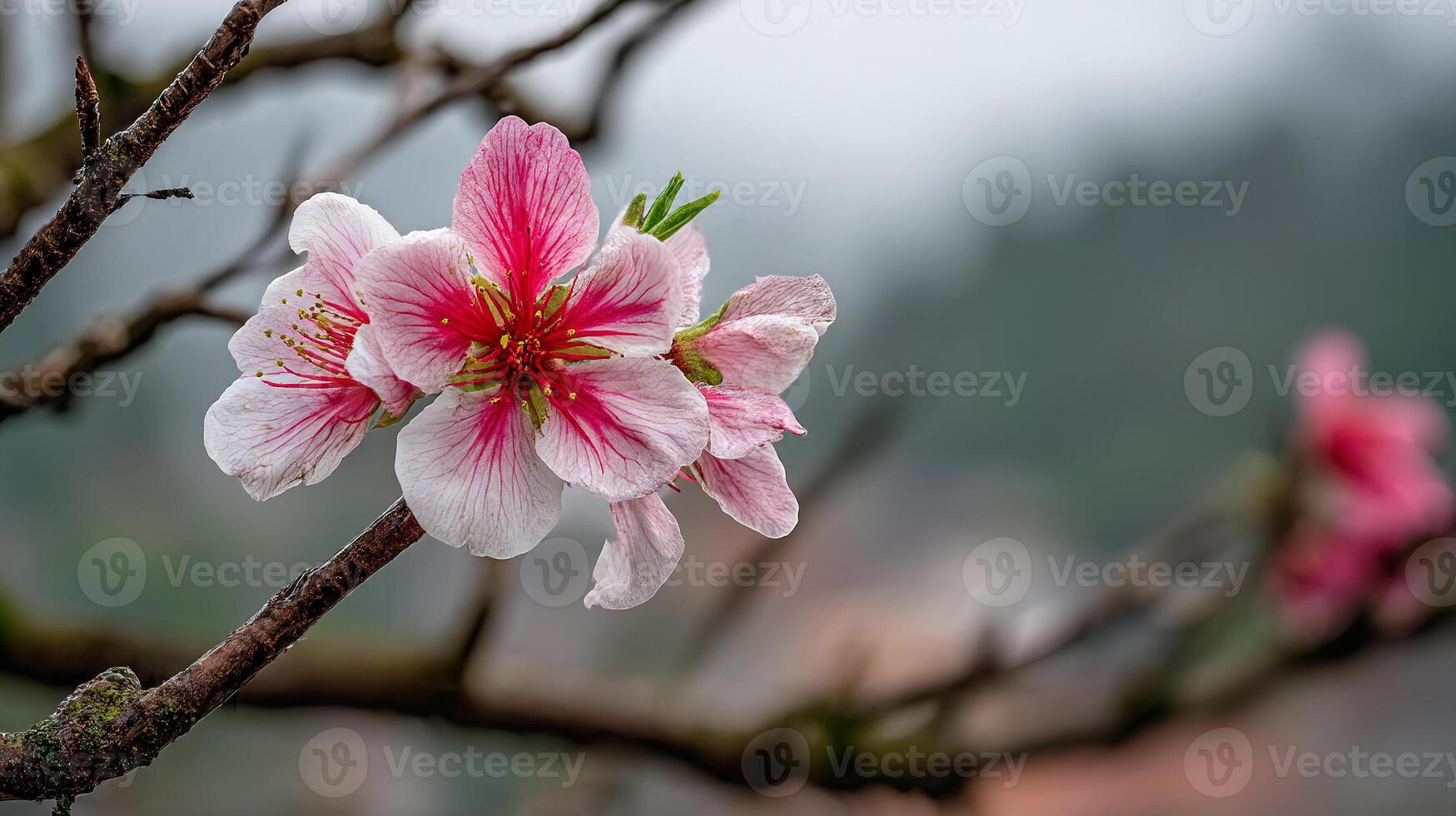 Tree branch with flower in crisp realistic photo focus