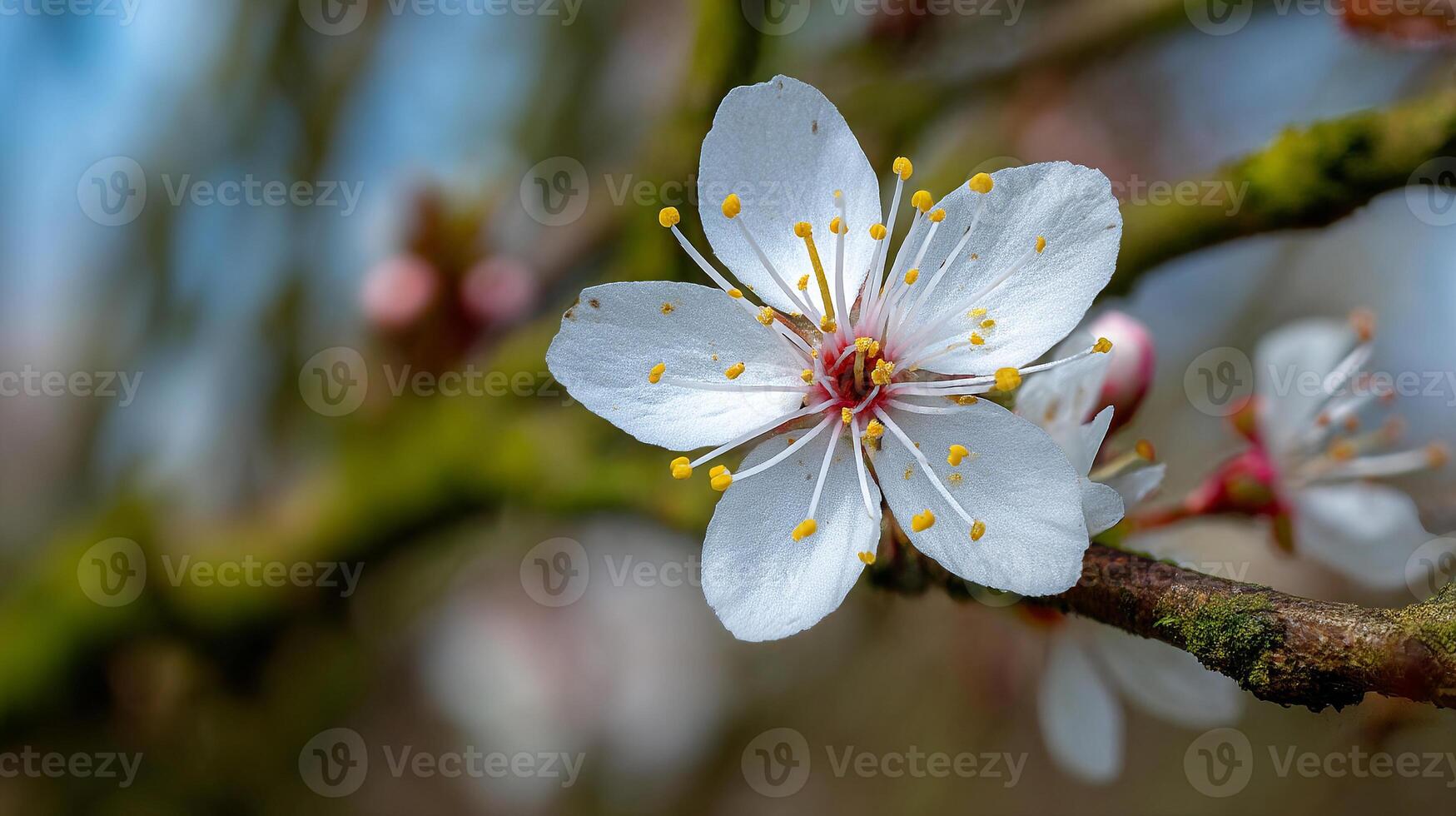 Ultra detailed macro flower photo on branch with bokeh