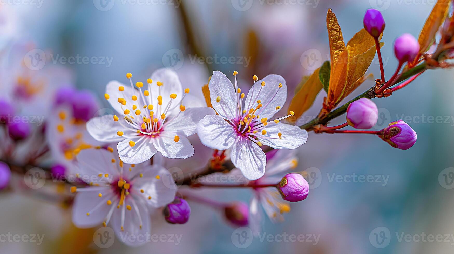 Macro flower photo on tree branch with green background
