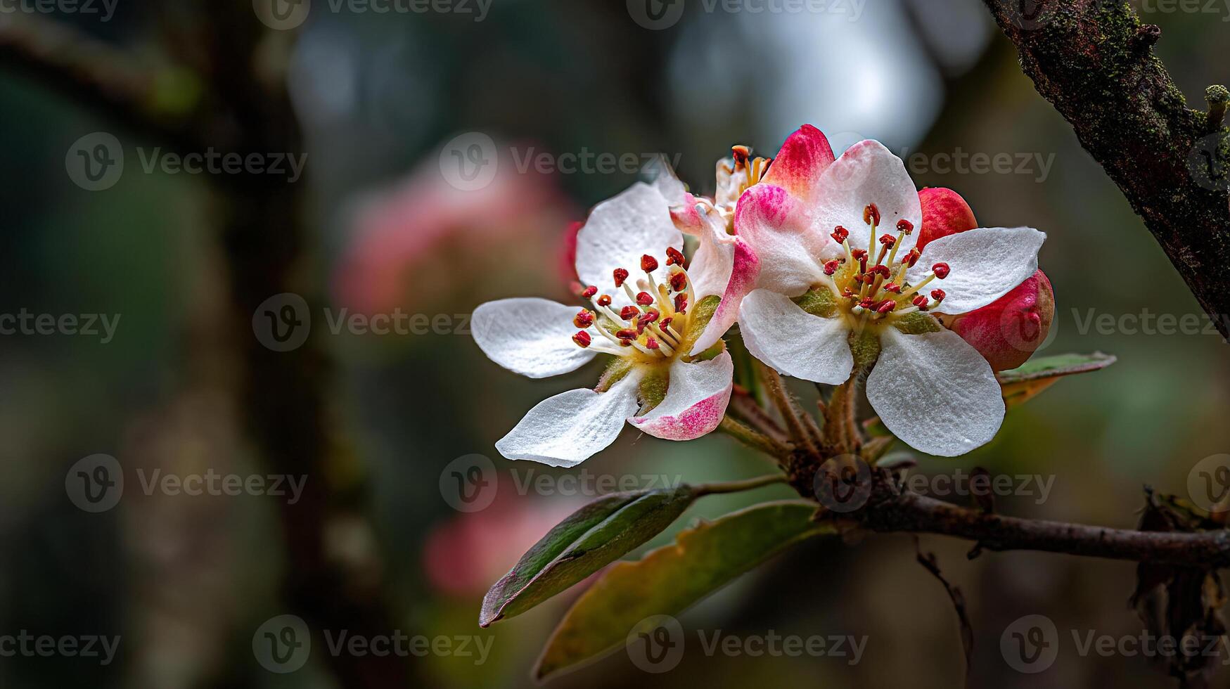 Macro flower photography on tree branch with lifelike textures photo