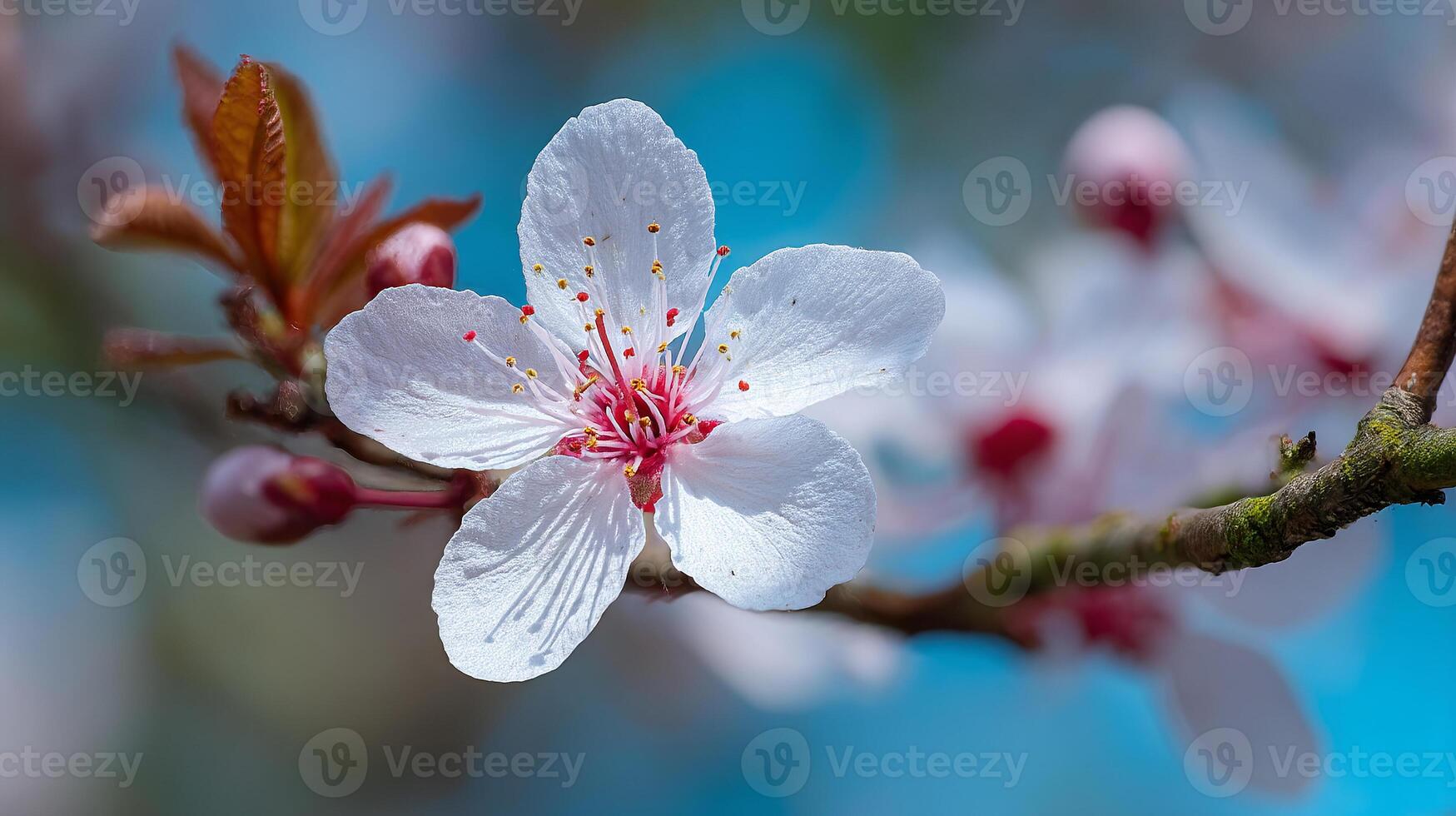 Ultra detailed flower macro with soft bokeh photography effect photo