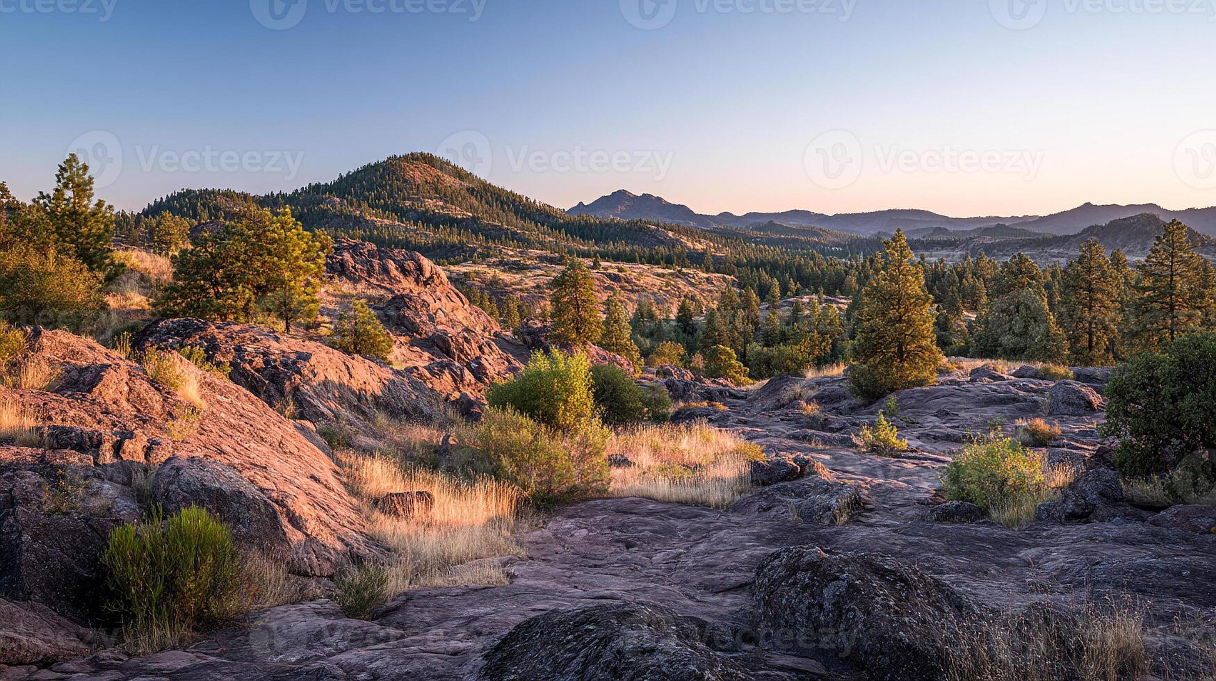 Sharp color tones in photorealistic outdoor image photo