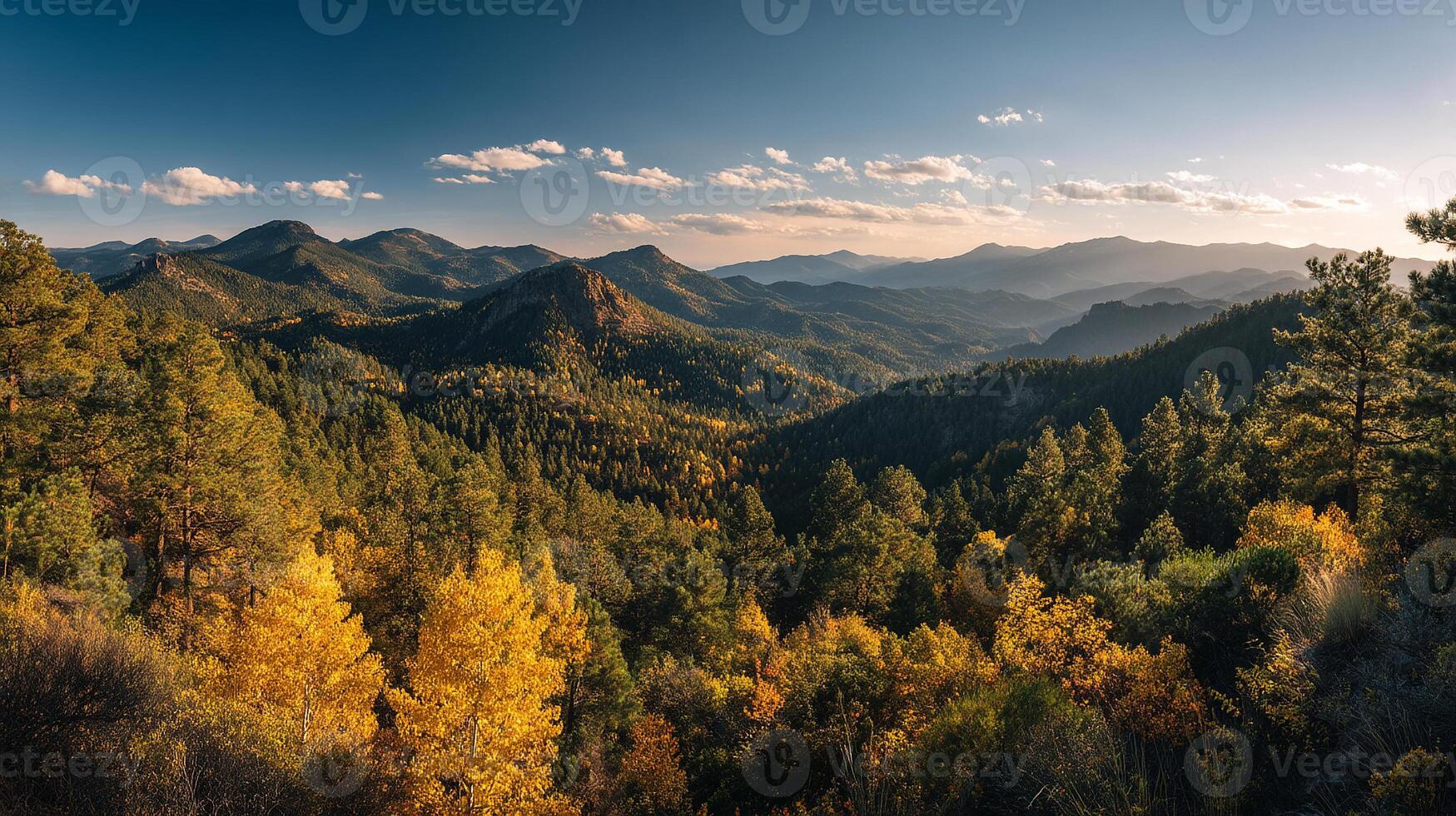 Picture of peaceful natural surroundings in detail photo