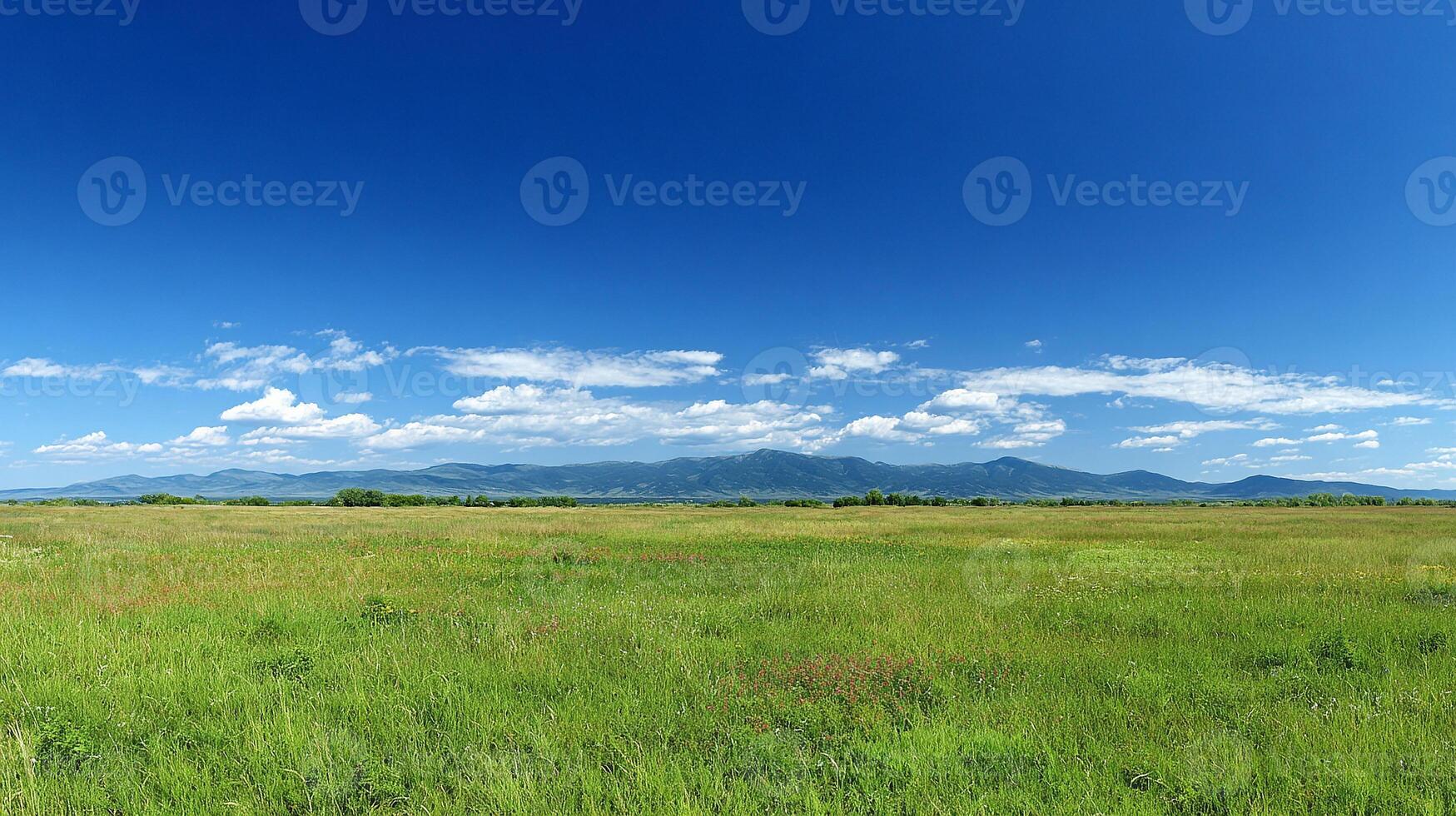 Photorealistic summer countryside with clear skies photo