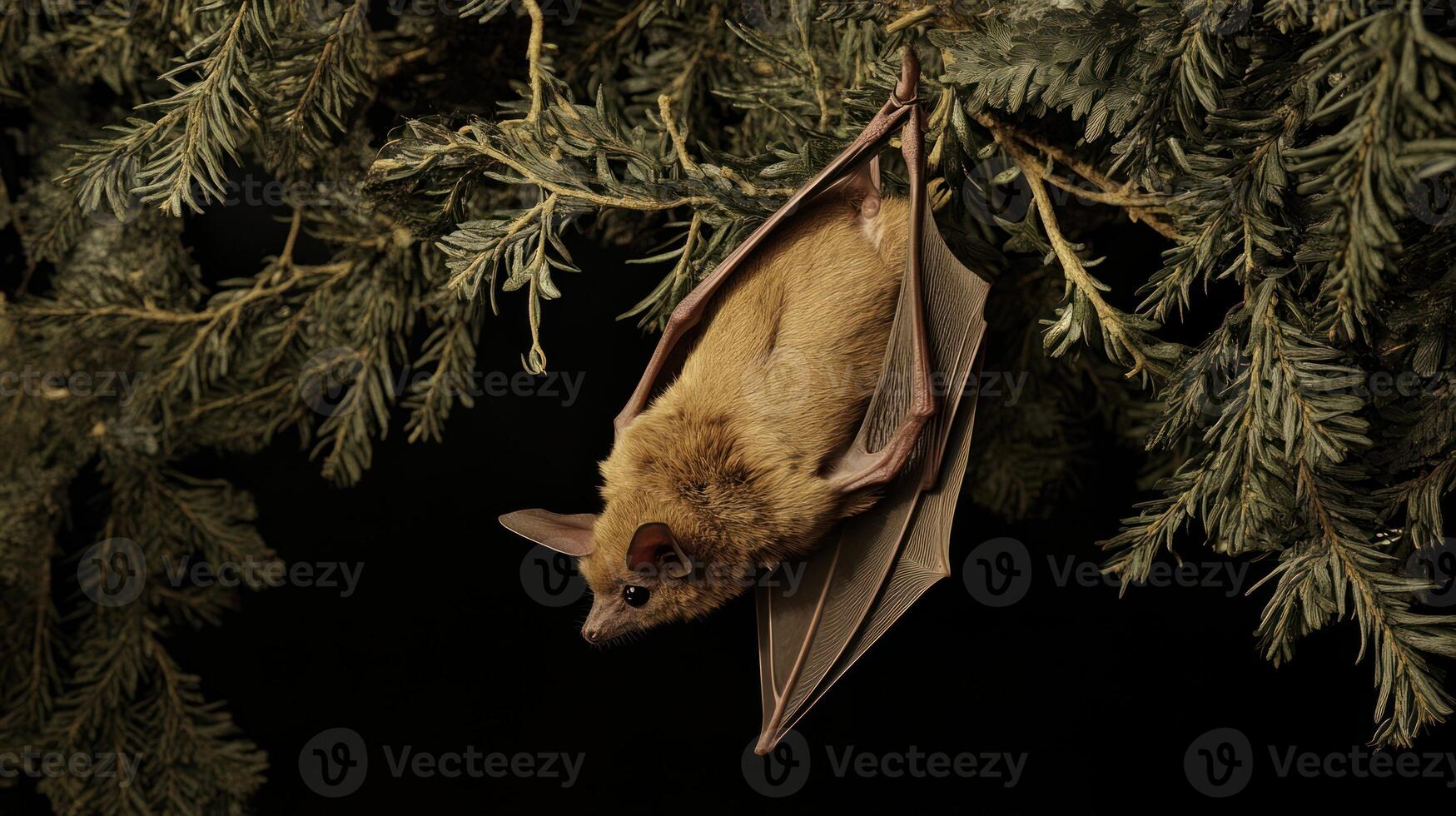 A brown bat clinging upside down on a green tree branch photo