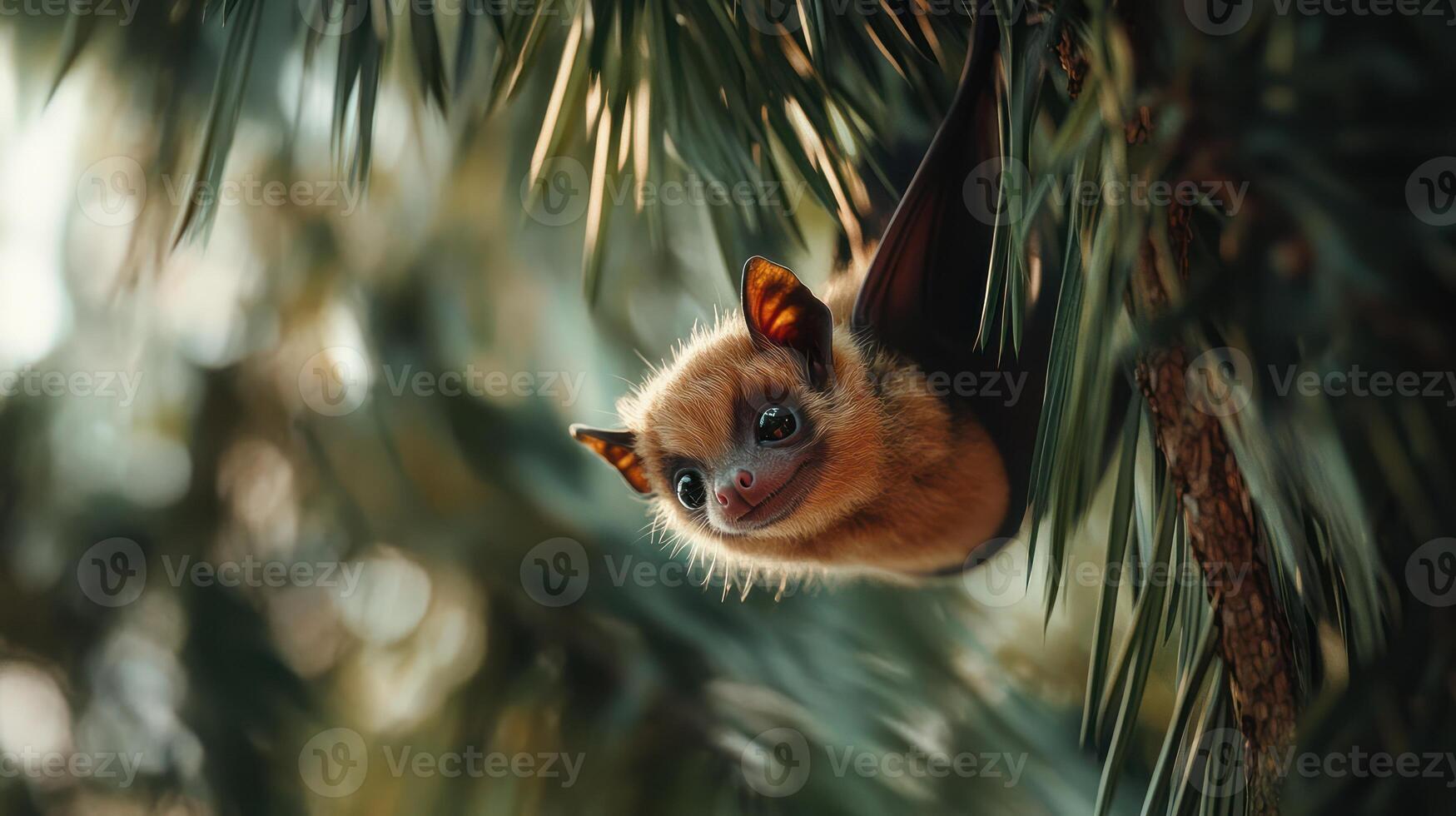 A small smiling bat hangs upside down in a pine tree photo