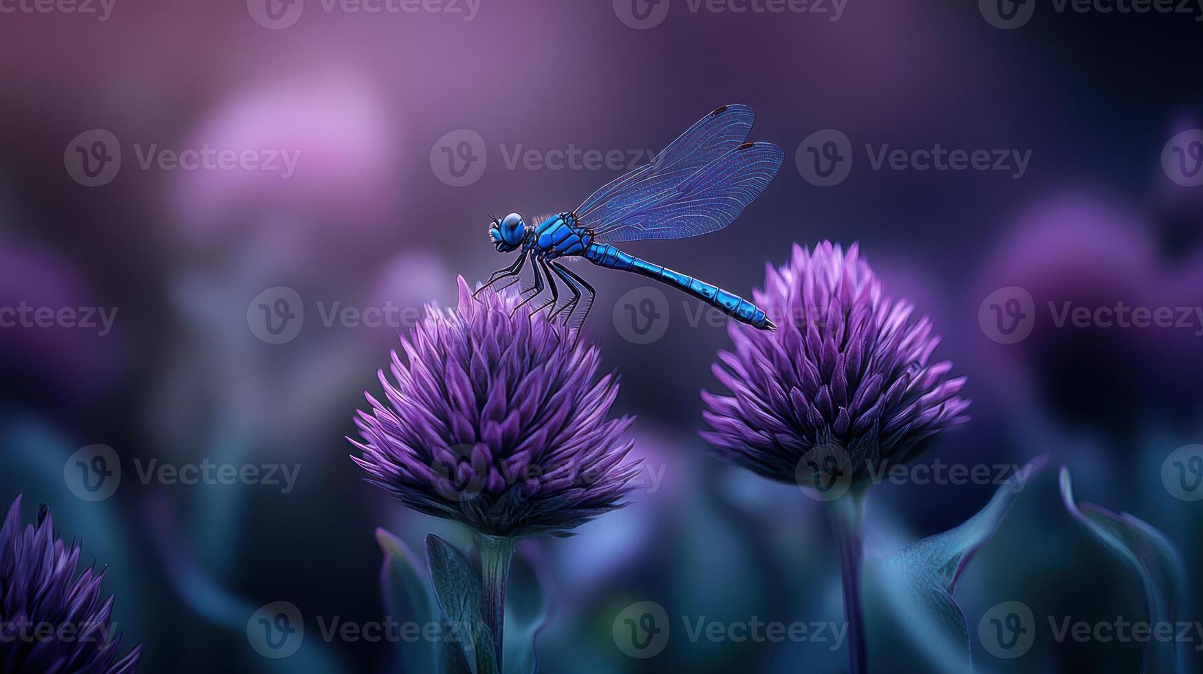 A blue dragonfly resting on purple flowers in a soft focus image photo