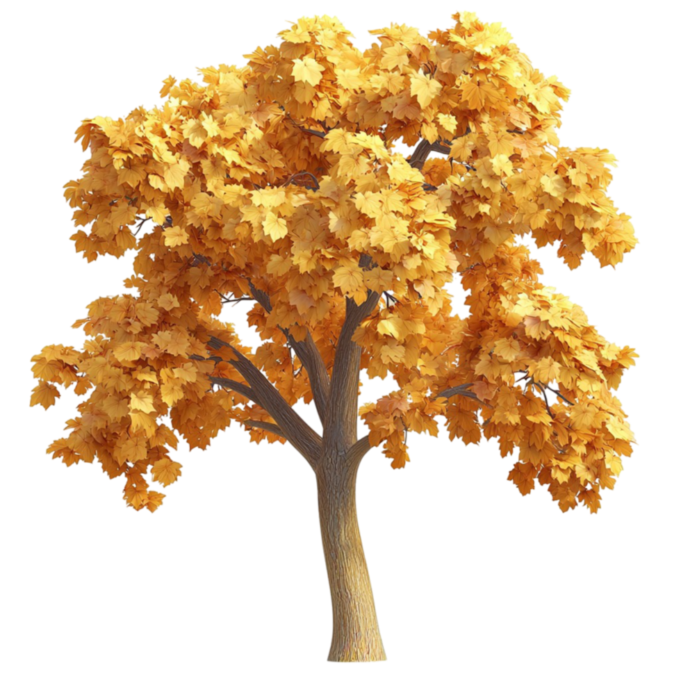 Bare deciduous tree golden yellow leaves on its branches On Transparent Background png