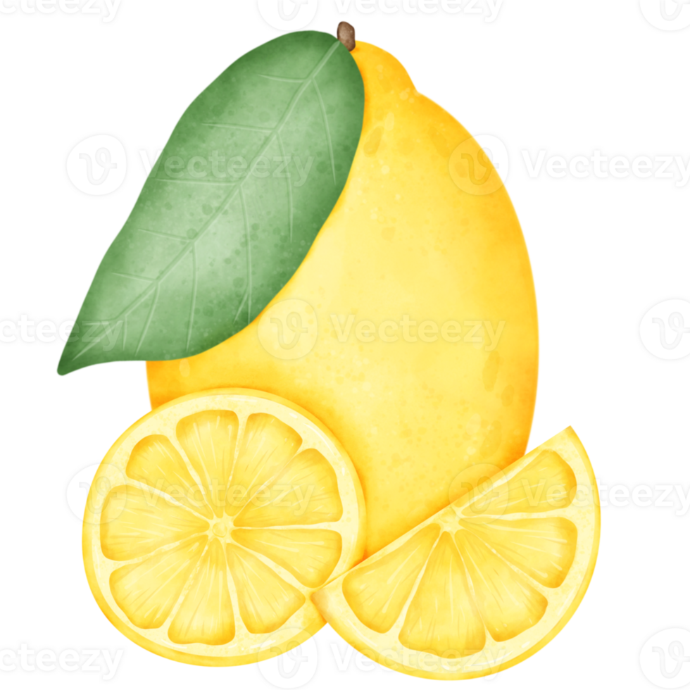 Lemon cartoon watercolor fruit png
