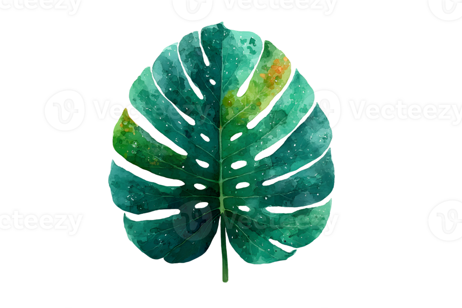 Vibrant Tropical Leaf Illustration with Watercolor Texture and Natural Patterns png