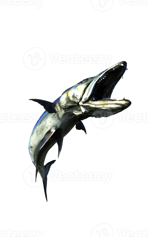 Barracuda Predator of the Deep png