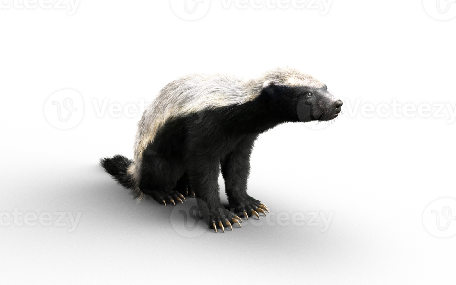 Sitting pose of a Honey Badger png
