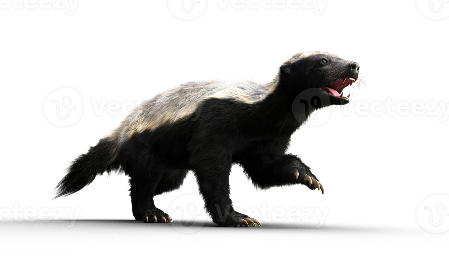 Defense pose of a Honey Badger png