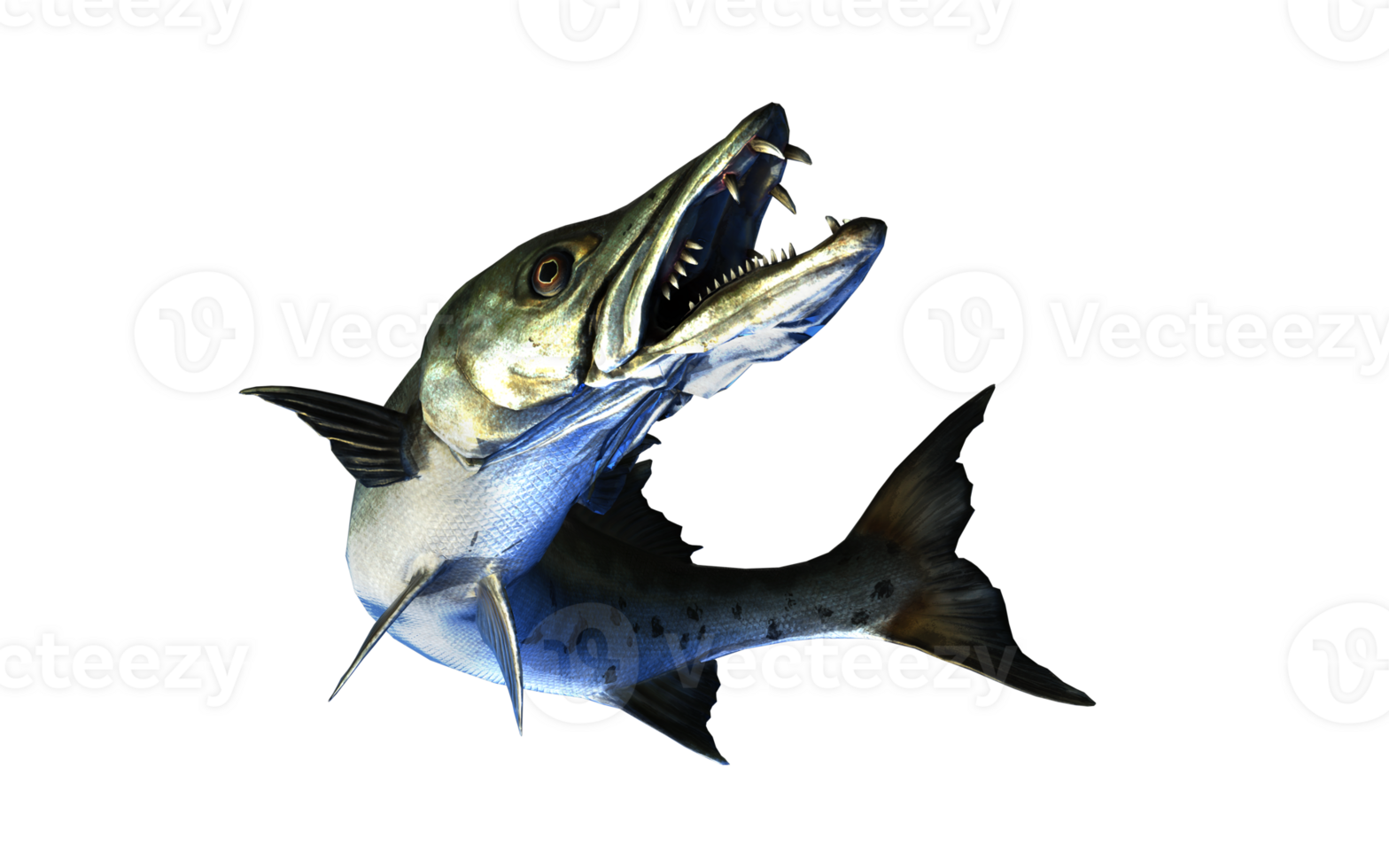 Barracuda Glide of the Ocean Hunter png