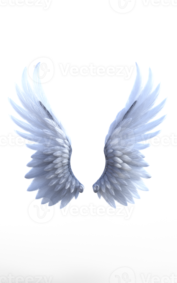 The Silent Flight of Angels png