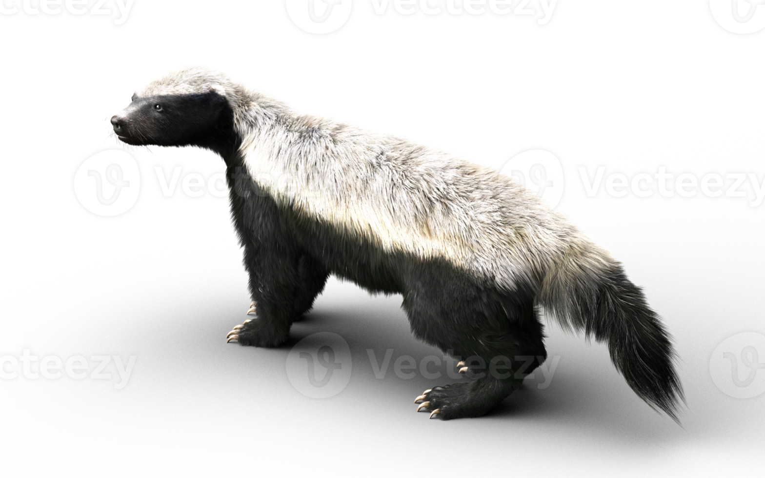 Pose of a Honey Badger png