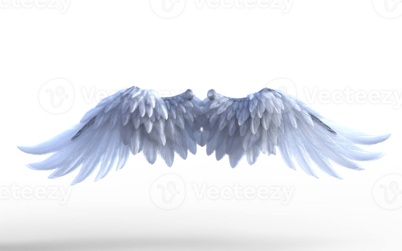 Wings of Light and Grace png