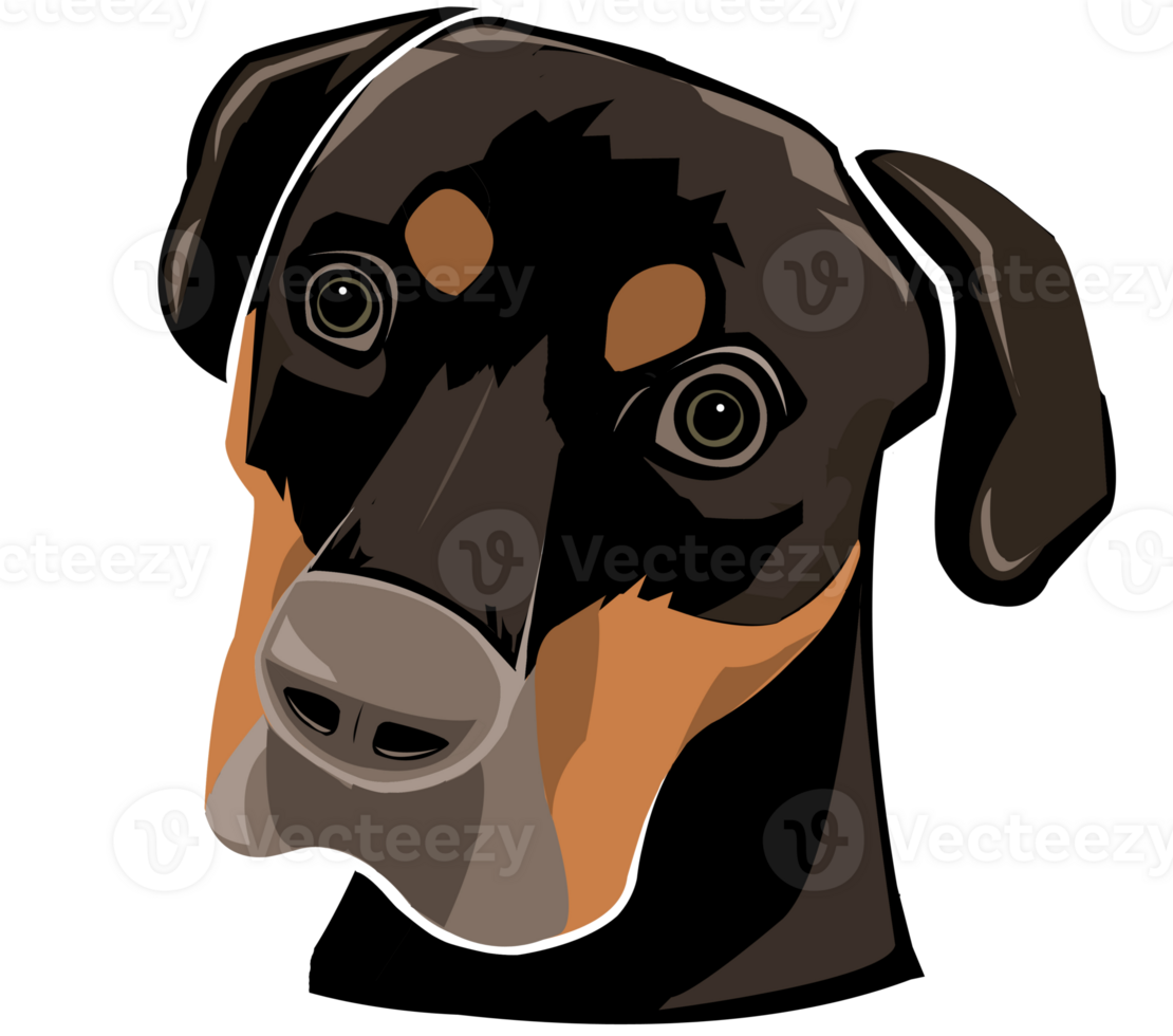 Dog face black and brown png