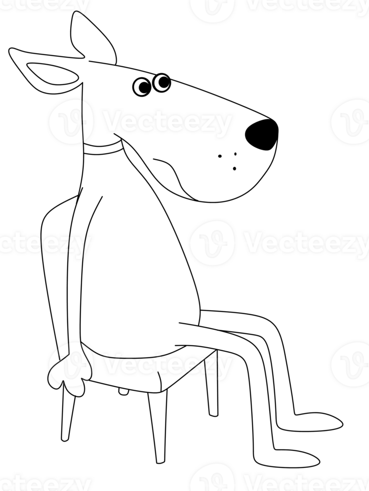 Dog sitting on chair png