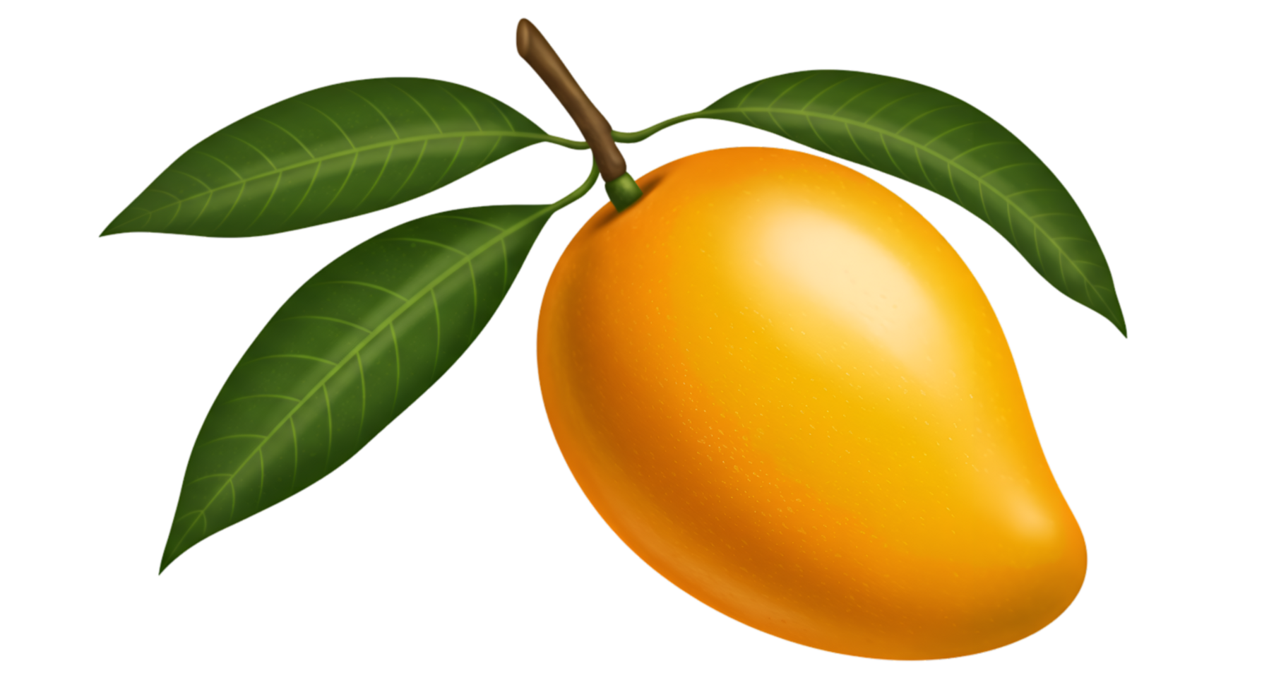 Ripe mango with vibrant yellow skin and lush green leaves on a stem png