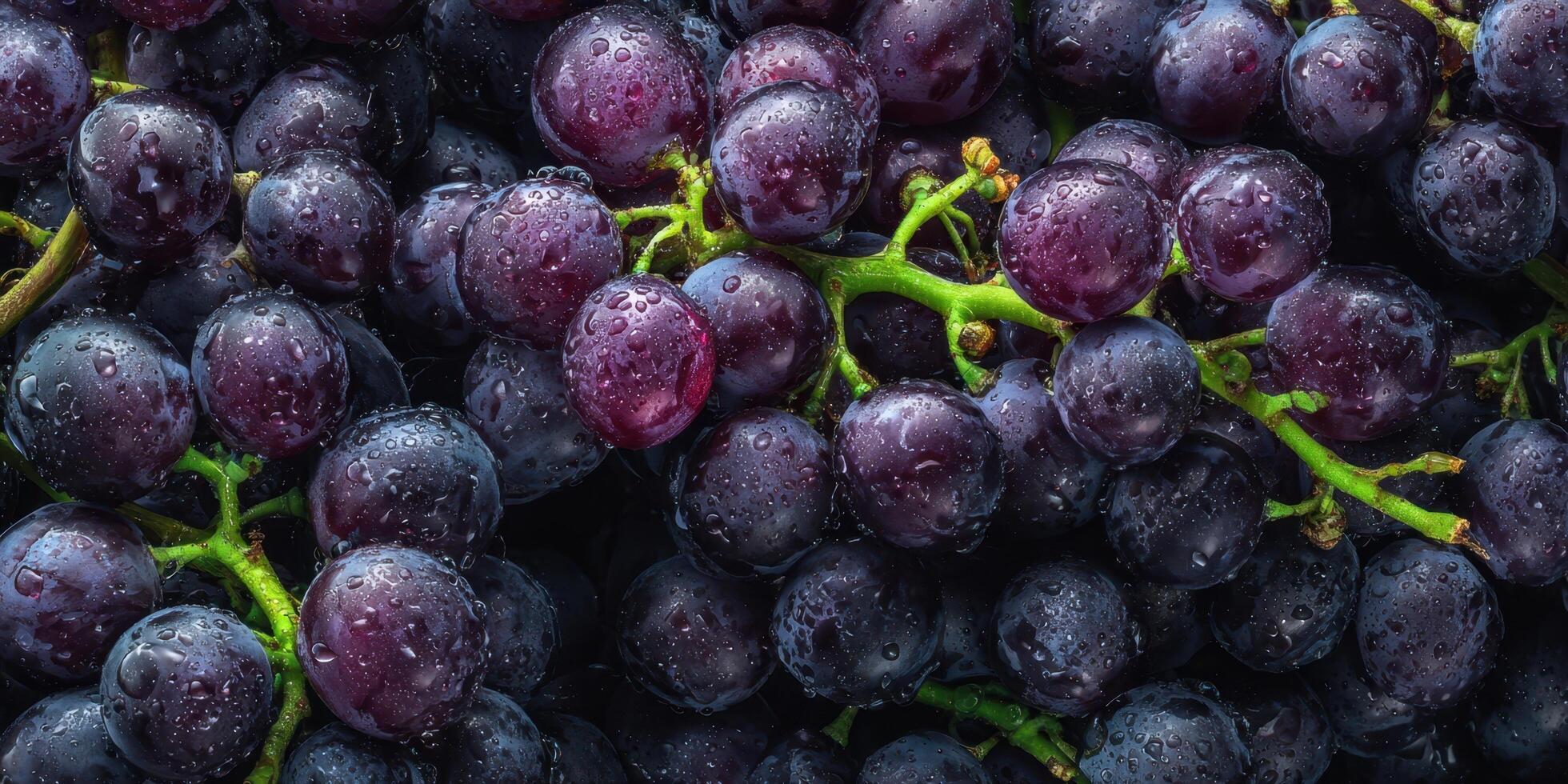The Fresh Purple Grapes with Dewdrops Glistening in Natural Light photo