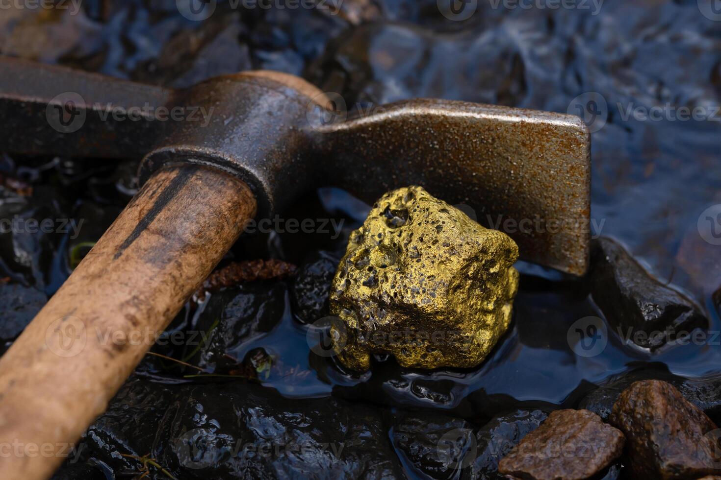 Gold Nugget mining from the River in Austria, real Gold photo