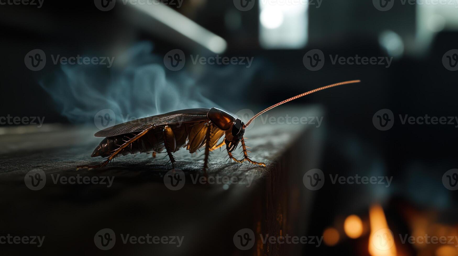 A detailed image showing a large cockroach on a wooden surface photo