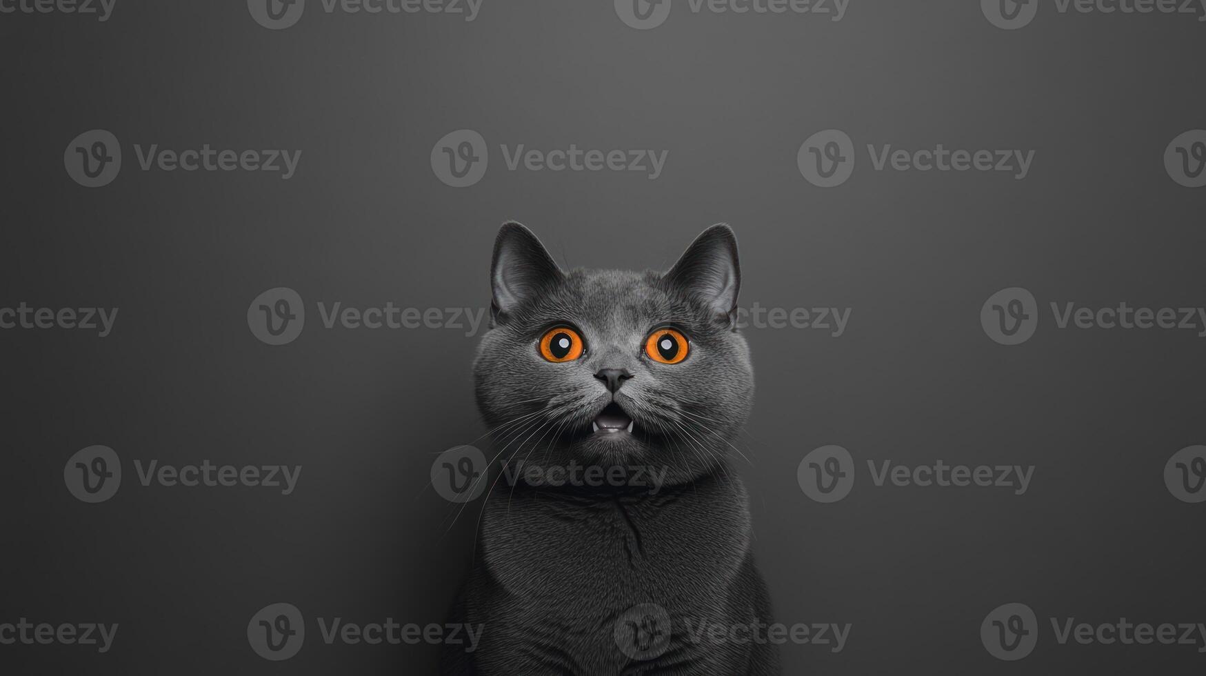 A grey cat looks surprised with a wide open mouth photo