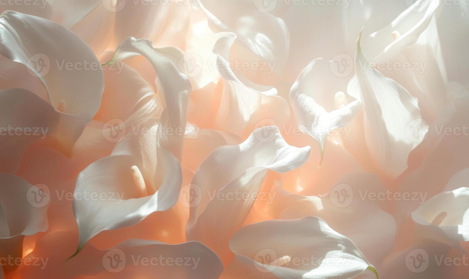 A close up of a bunch of white flowers photo