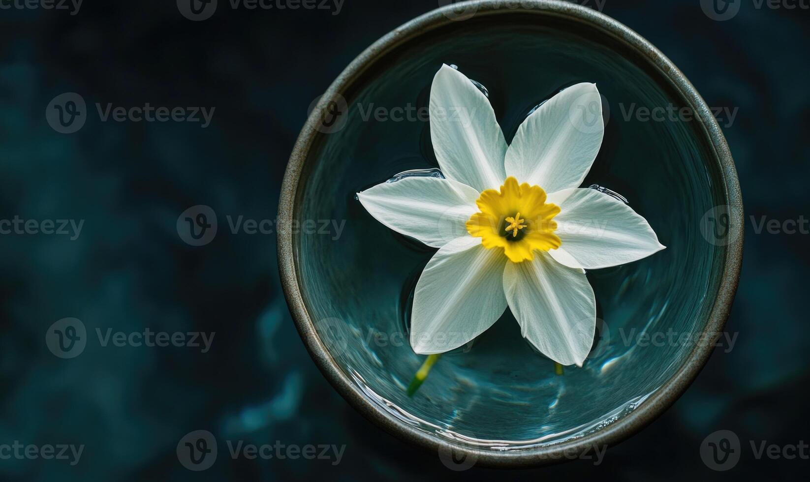 A white flower is floating in a blue bowl of water photo