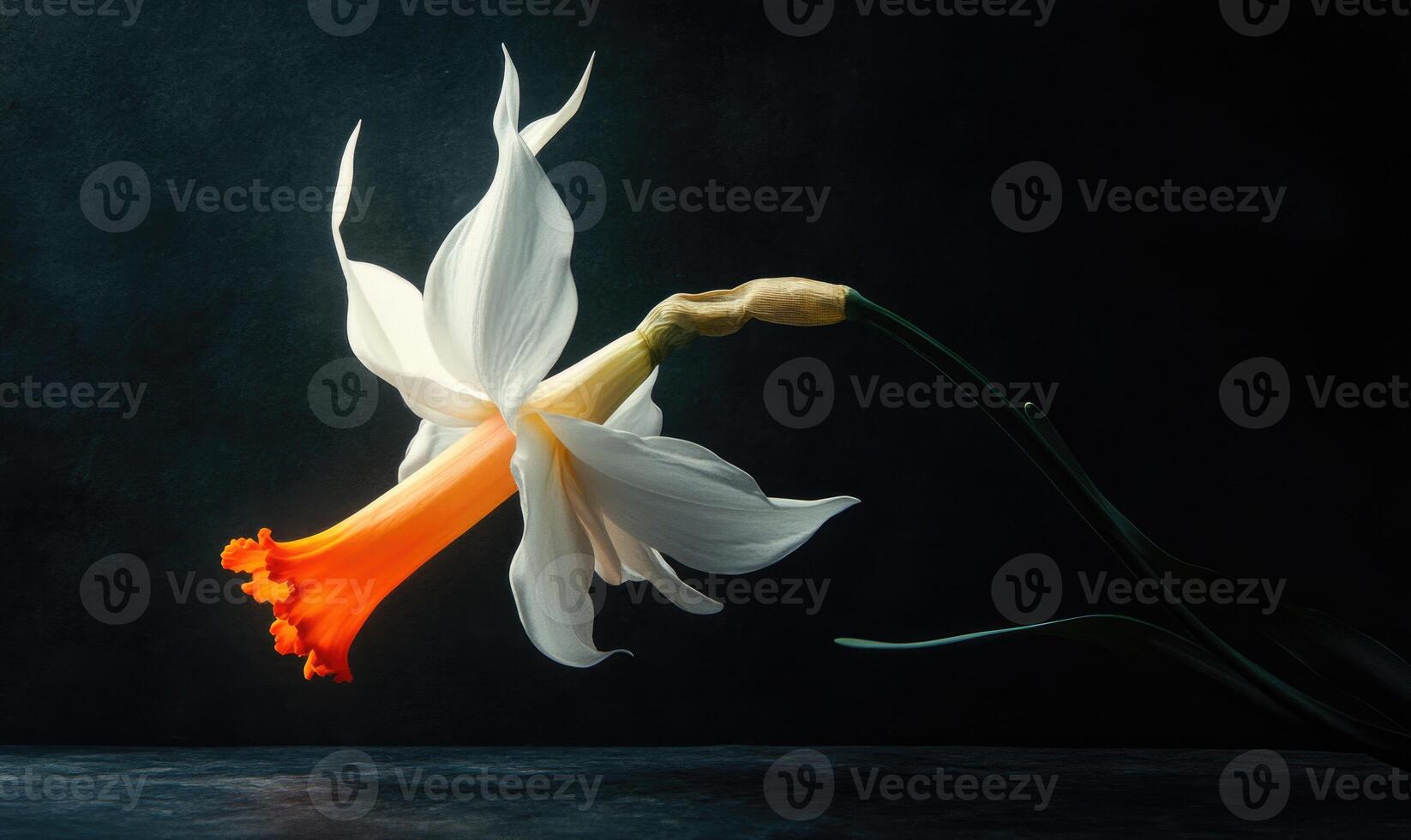 A white flower with orange petals is shown in the air photo