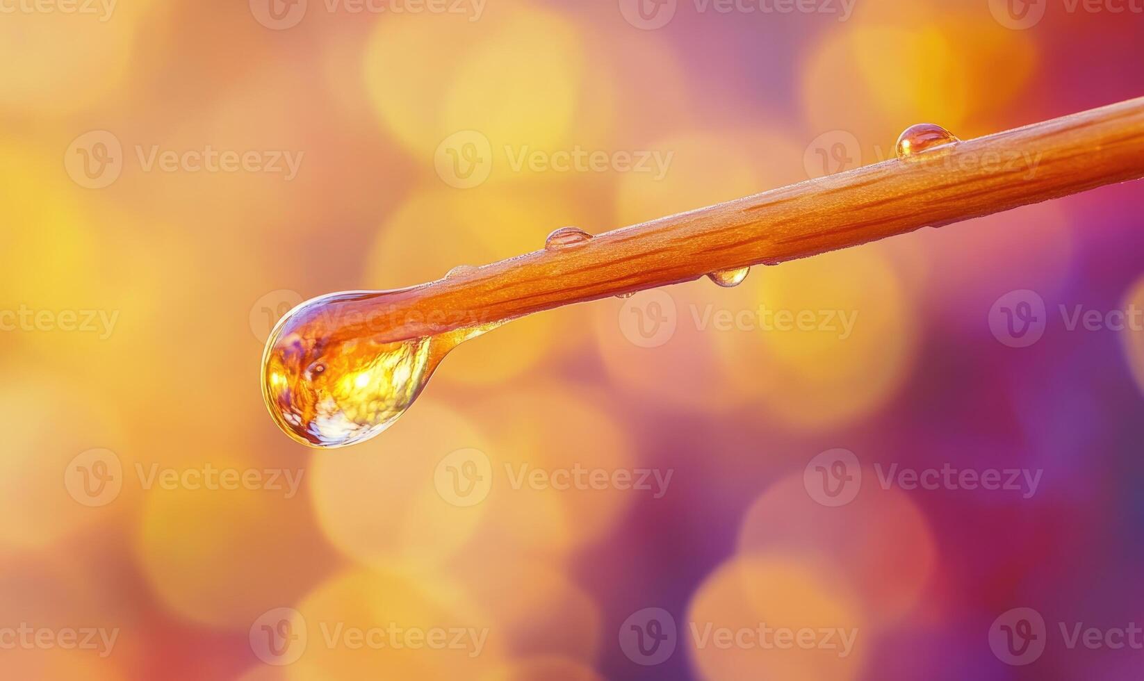 A droplet of water is hanging from a tree branch photo
