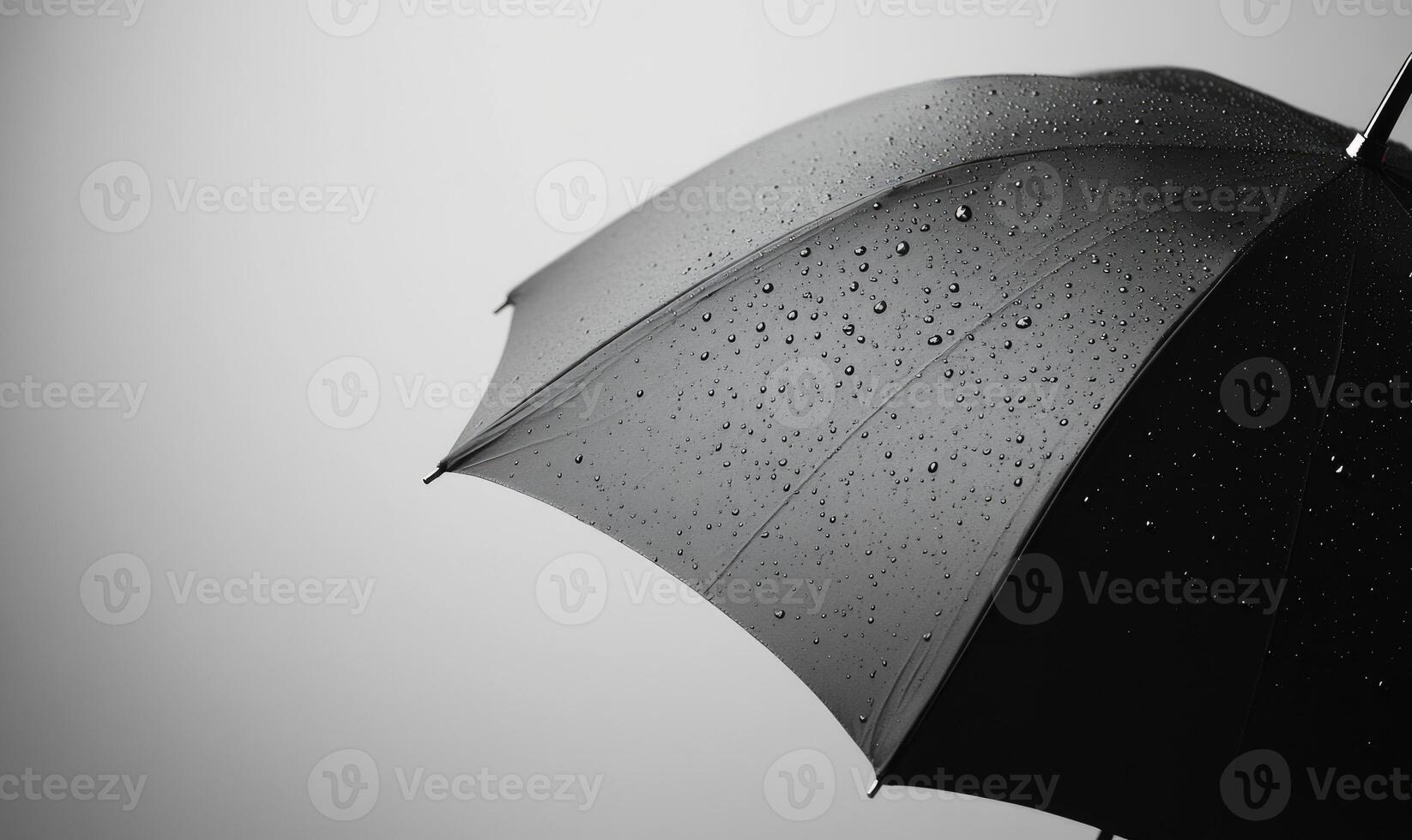 black and white photo of umbrella with raindrops