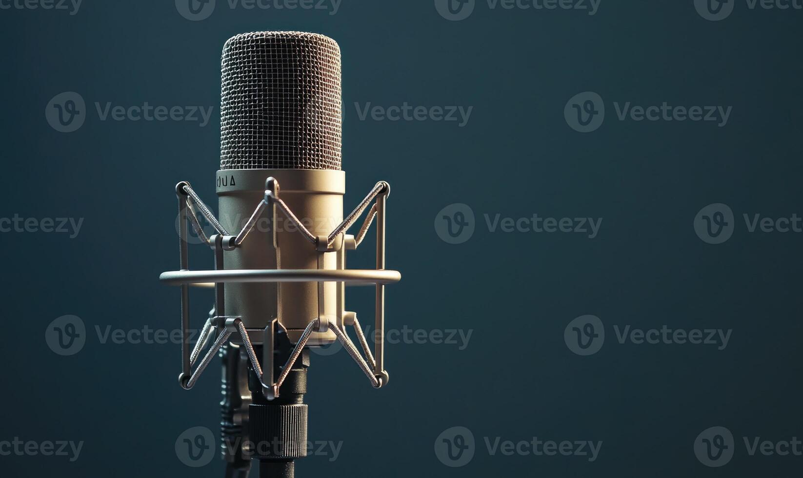A microphone with a microphone stand photo