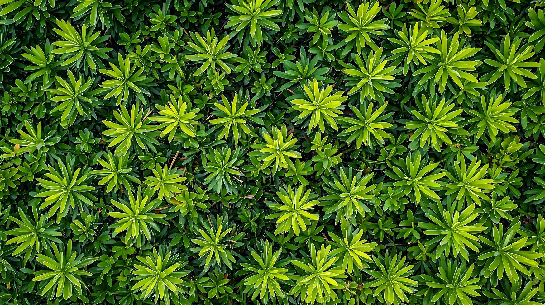 Lush Green Foliage Texture A Detailed Close Up of Vibrant Plants. photo
