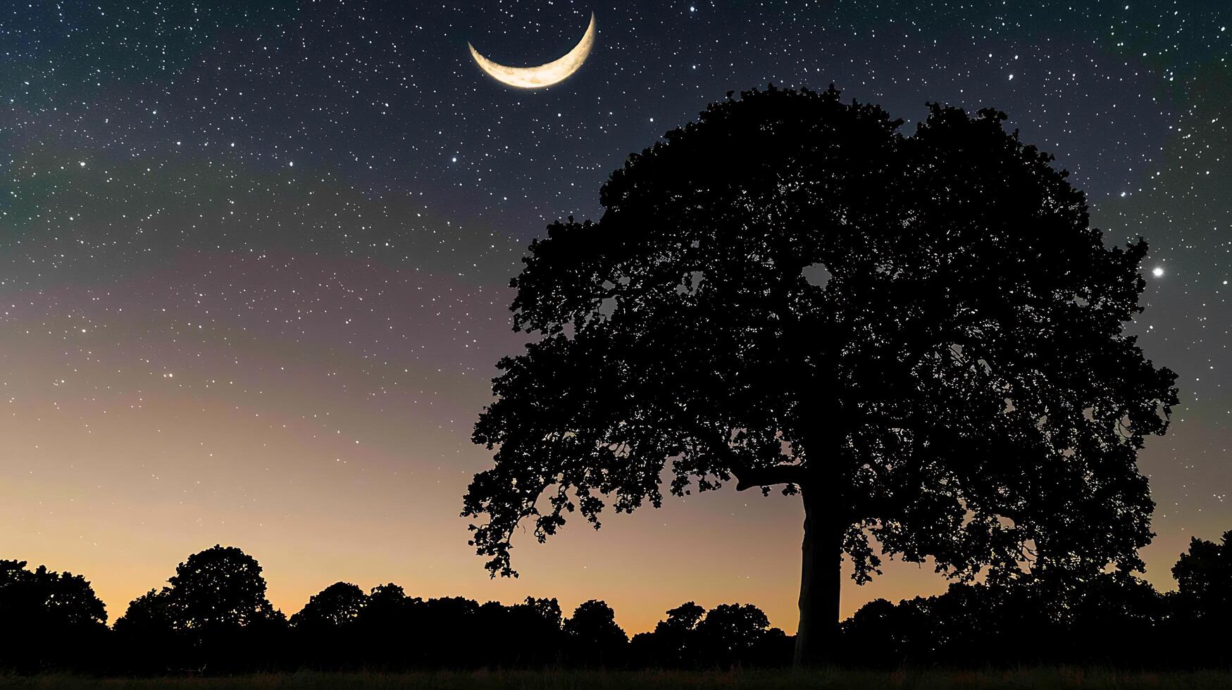 Majestic Oak Tree Silhouette at Night with Crescent Moon and Starry Sky. A serene landscape image perfect for peaceful and nature-themed projects. photo