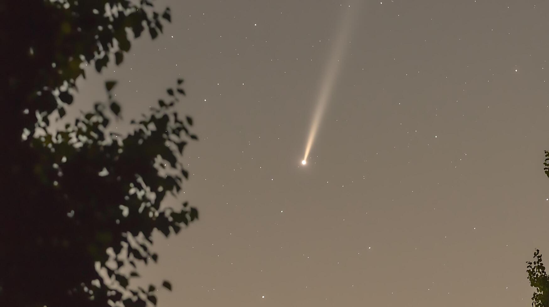 Night Sky with Comet and Stars Seen Through Tree Branches. A breathtaking astronomical image. photo