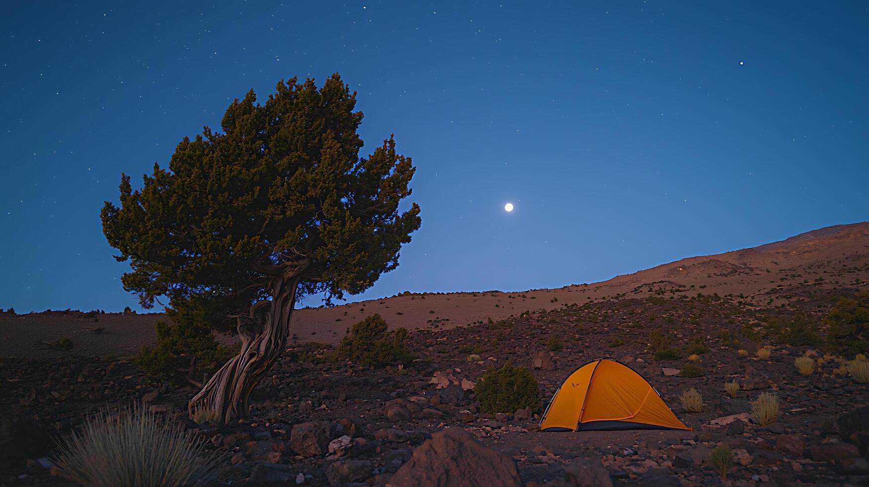 Serene Night Camping Under the Stars near a Majestic Juniper Tree. photo