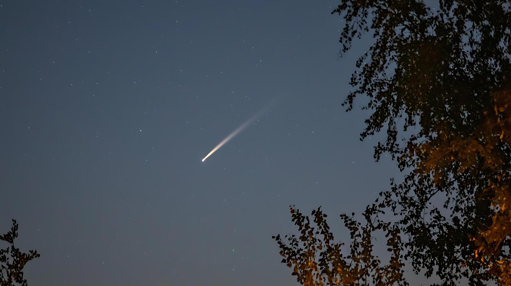 Night Sky with Comet and Silhouetted Trees. A breathtaking astronomical image featuring a bright comet streaking across the starlit sky. photo