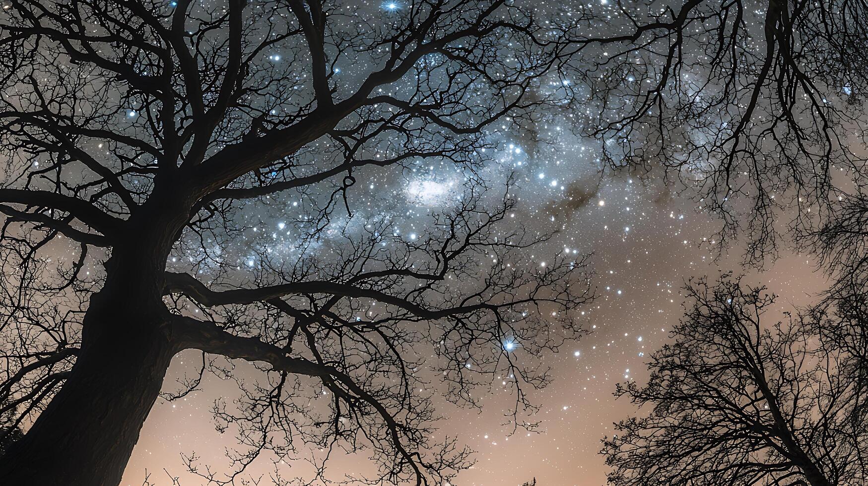 Majestic Oak Silhouette Against a Starry Night Sky. A breathtaking low angle view of leafless branches reaching towards the cosmos. photo