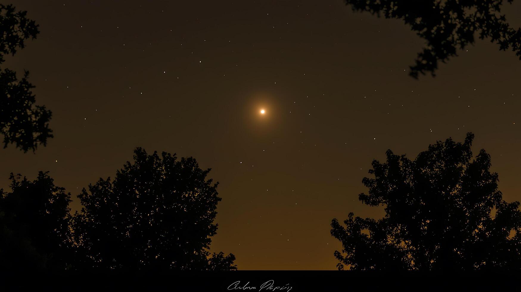 Night Sky Scene with Silhouetted Trees and Bright Star. A tranquil image of the night sky, showcasing a luminous star and the dark silhouettes of trees. photo