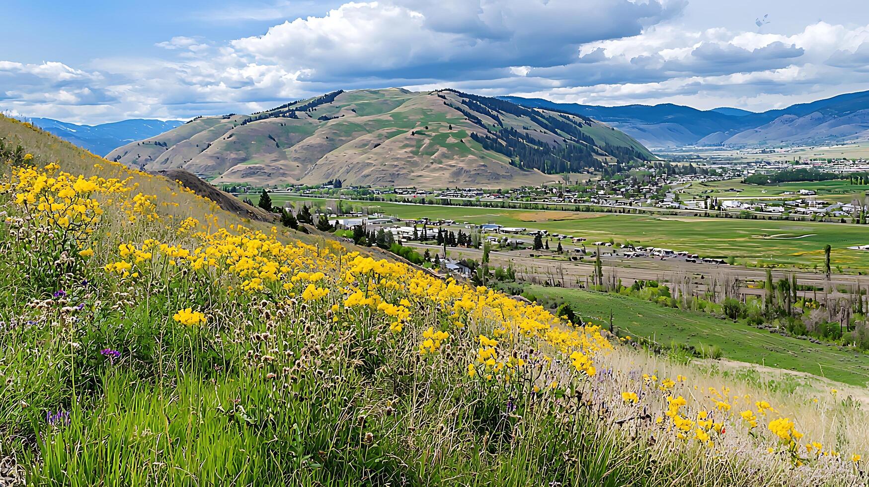 Wildflowers in Bloom with Scenic Mountain Valley View. A breathtaking landscape photograph showcasing vibrant yellow wildflowers in the foreground and a picturesque valley nestled in the mountains. photo