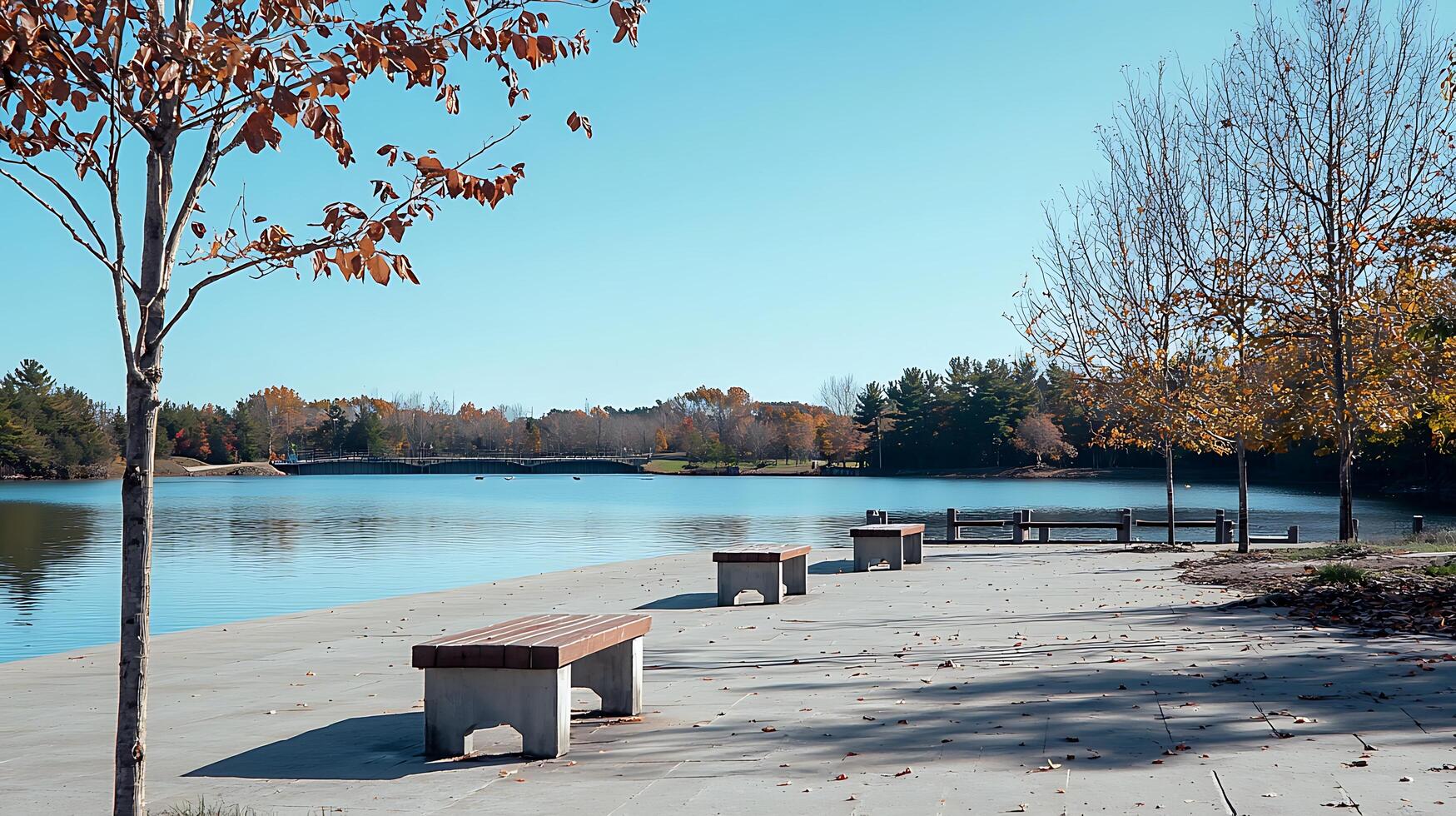 Serene Autumn Lakefront with Empty Benches. Enjoy the peaceful view of a calm lake under a clear autumn sky. photo