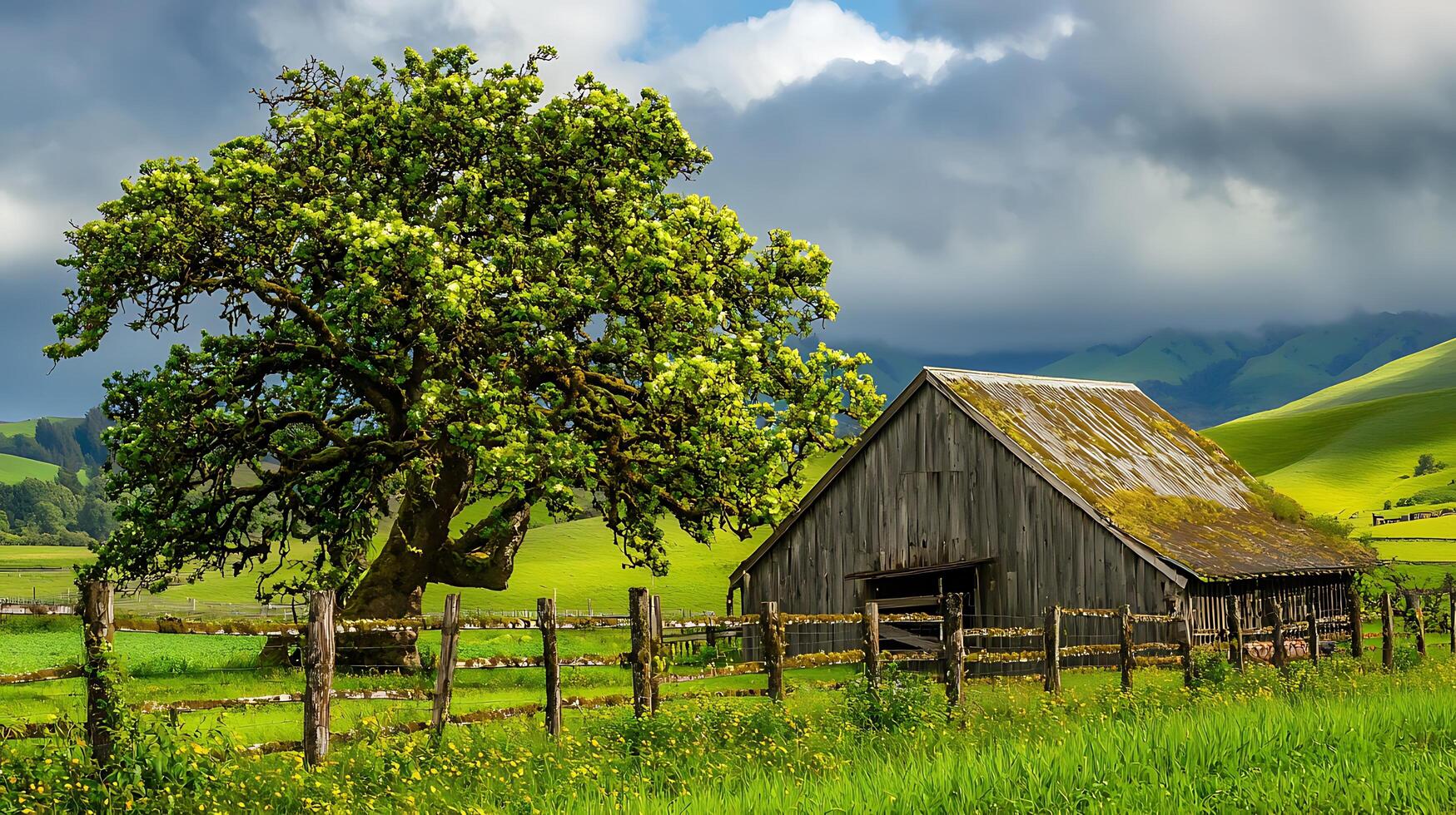 Rustic Barn and Majestic Oak Tree on Rolling Green Hills Under a Dramatic Sky. A picturesque landscape of rural tranquility. photo