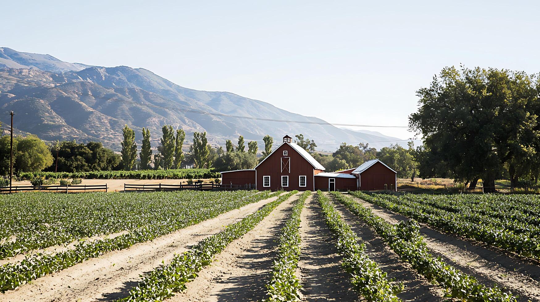 Rustic Red Barn on a Farm with Mountain View. Rows of Crops lead to the Barn in a Picturesque Setting. photo