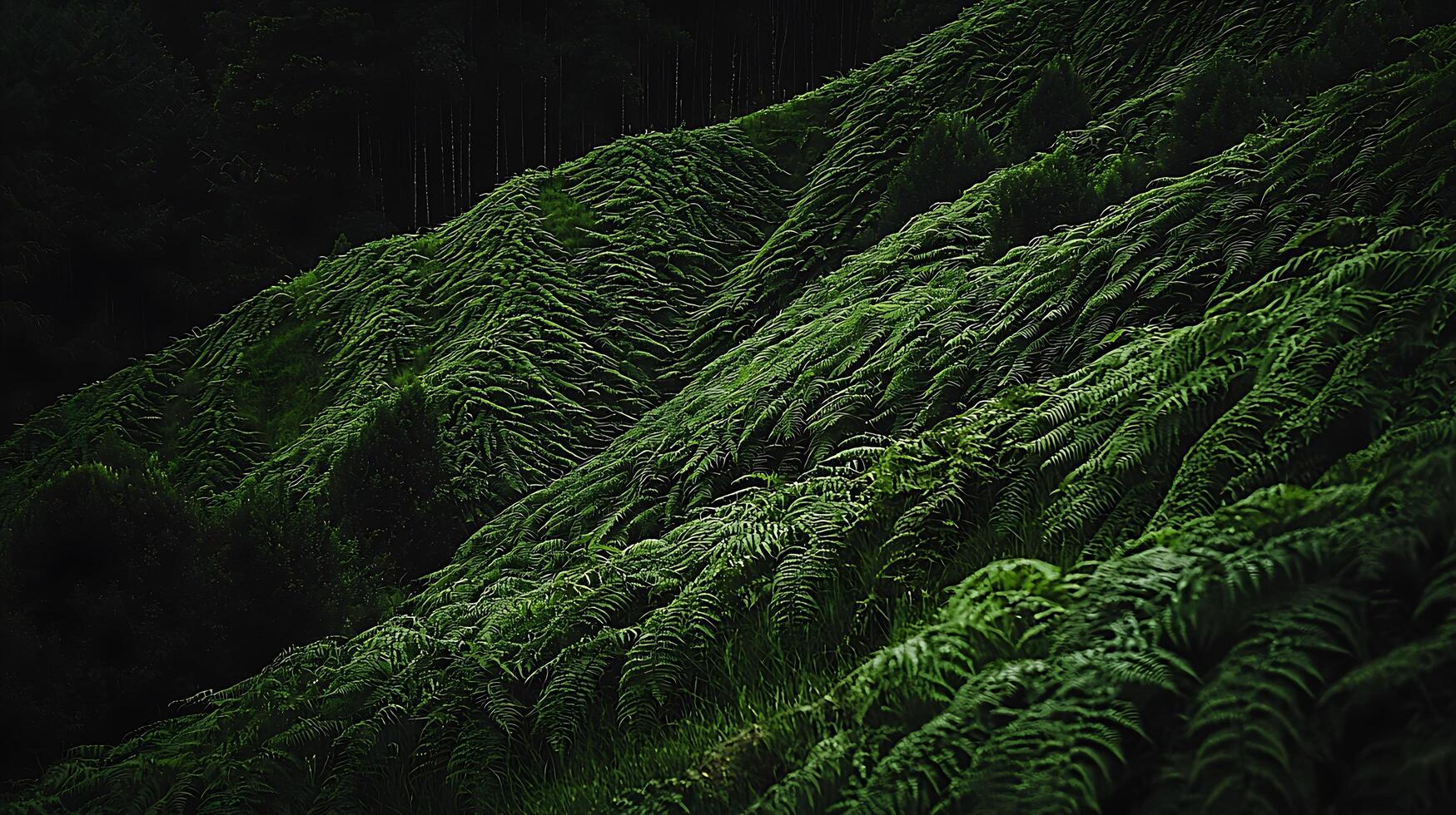 Lush Green Fern Hillside A Natural Texture Background. photo