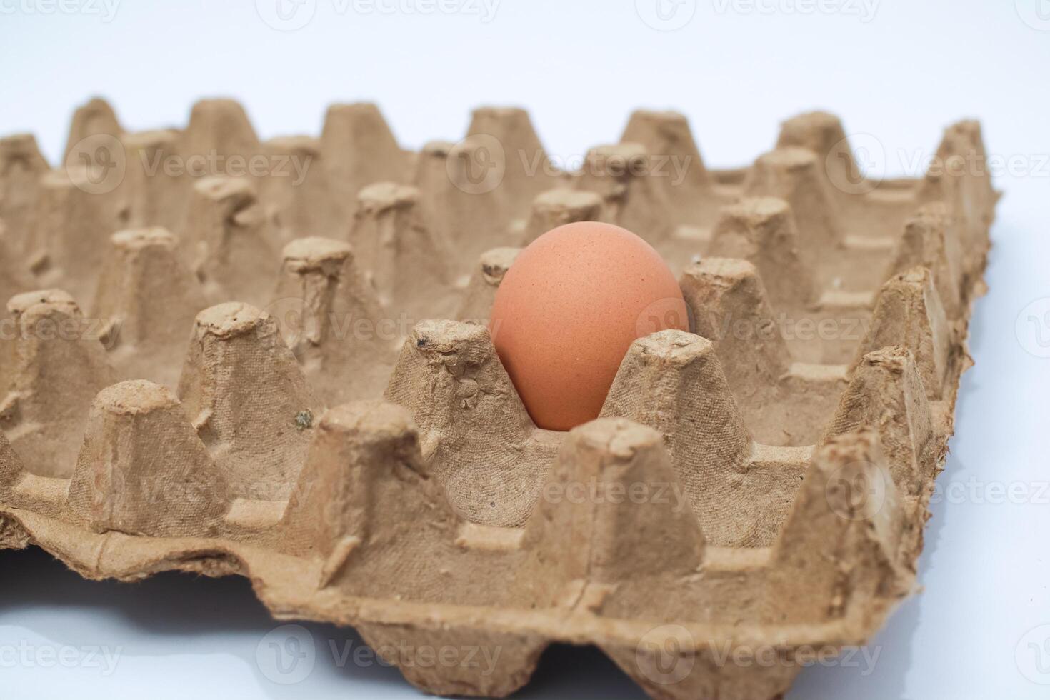 an egg in a cardboard egg tray photo