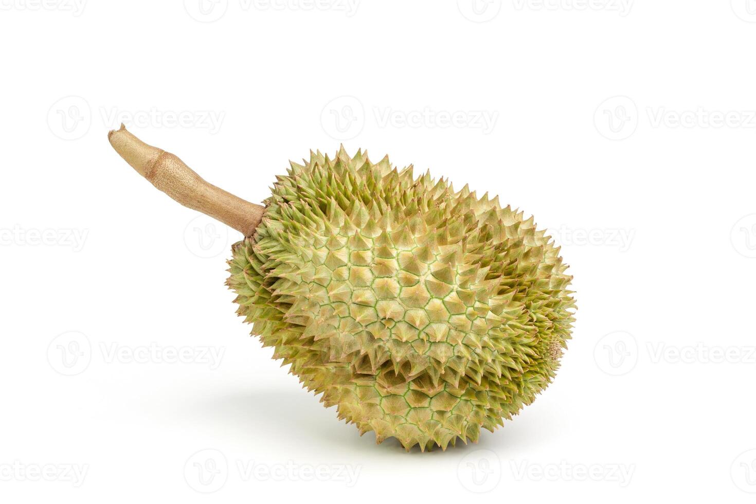 Durian Asian fruit isolated on white background photo