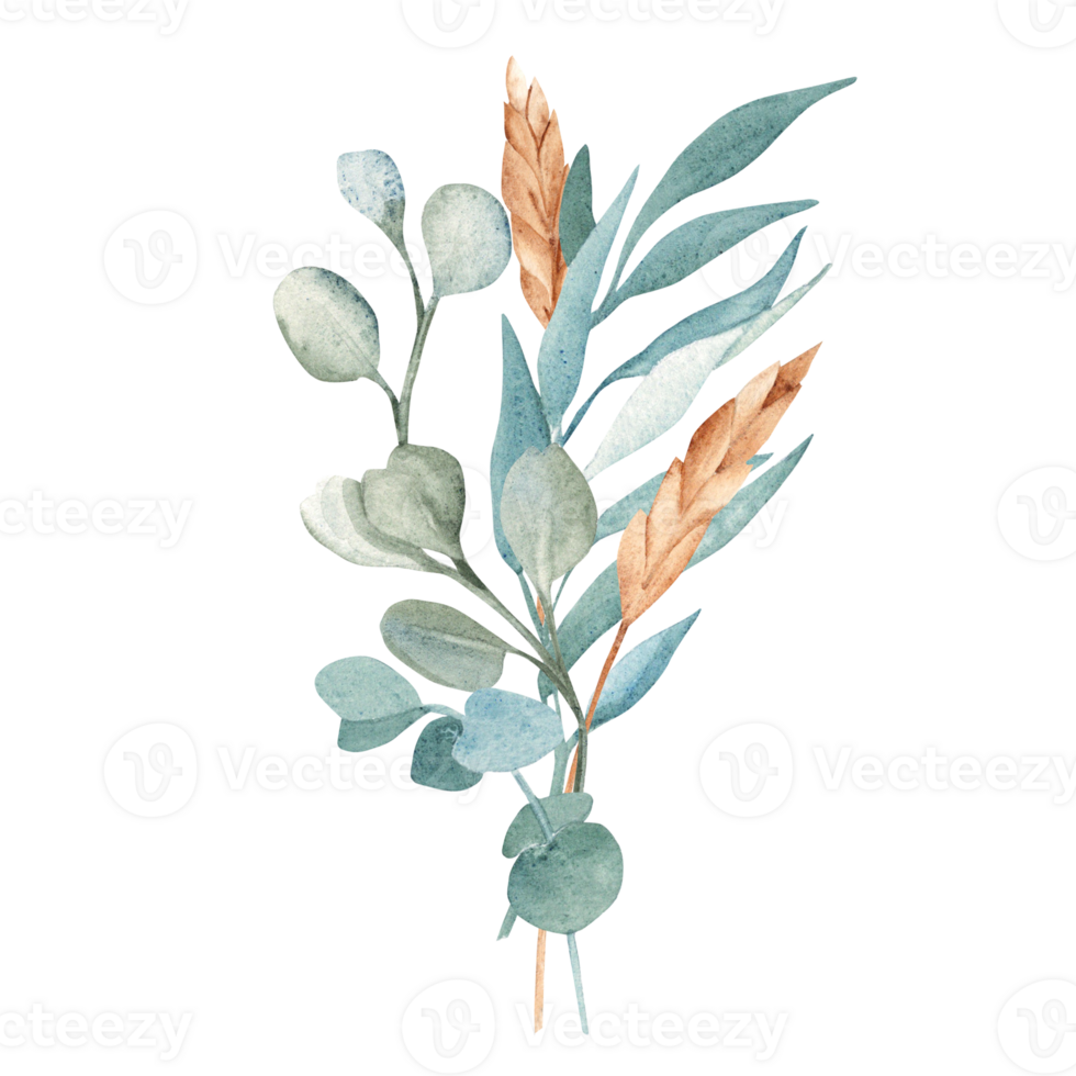 Watercolor Bouquet from Eucalyptus and Dry Spikelets of Wheat or Rye. Hand drawn floral composition. For greeting birthday cards, wedding, save the date and baby shower png